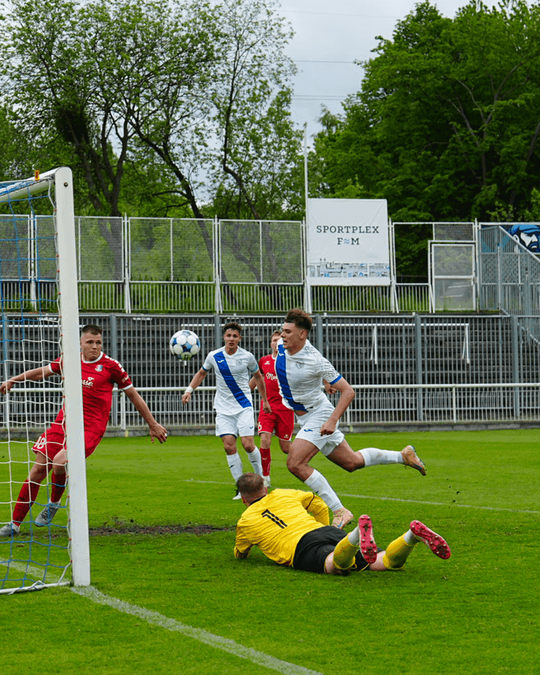 Valcíři porazili Blansko! Kedroň udeřil hned v 1. minutě, Neumann po střídání pojistil